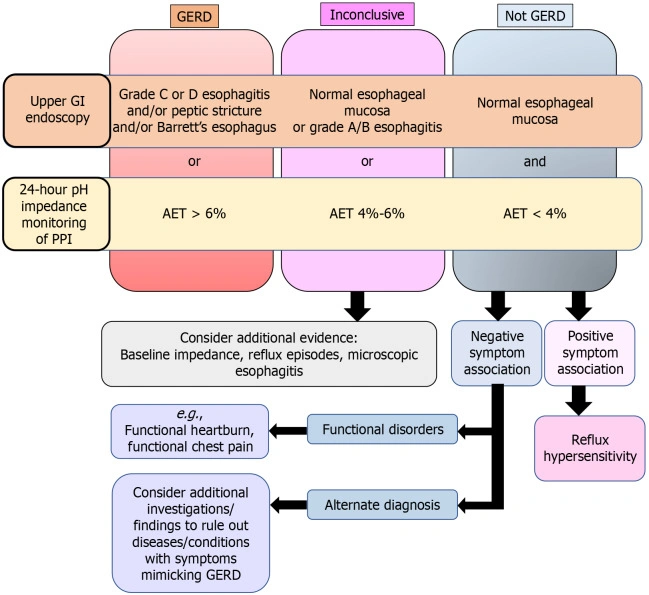 Глобальная эпидемиология ГЭРБ: каждый 7-й взрослый в мире страдает рефлюксной болезнью